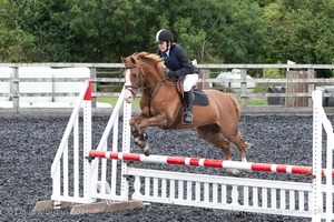 Class 7 - Fences 3' to 3'3